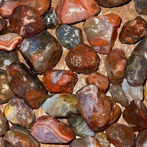 Bedrock_Barbie gets it done Chitown_Rockhound - Picture 4 of 16